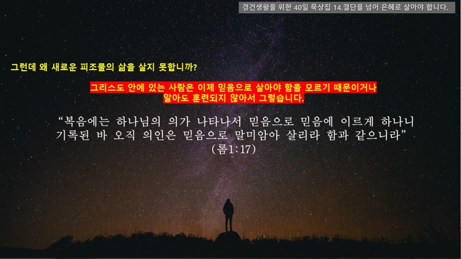 120cf5bb53fd0026c1415f342037954a_1637699776_9225.JPG